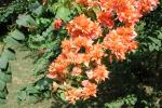DSCN0622.JPG