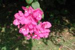 DSCN0624.JPG