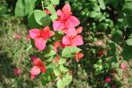 DSCN0625.JPG