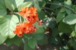 DSCN0633.JPG
