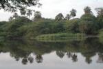 DSCN0663.JPG