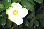 DSCN0664.JPG