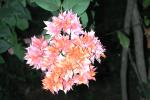 DSCN0667.JPG