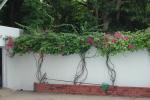 DSCN0732.JPG