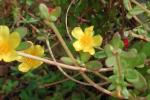 DSCN0742.JPG