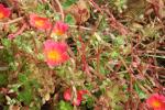 DSCN0743.JPG