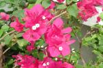 DSCN0748.JPG