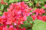 DSCN0749.JPG
