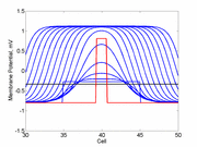 Collapsing and
expanding pulses