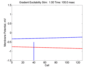unidirectional
conduction