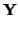 $\displaystyle {\bf Y}$