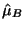 $ \hat{\mu}_B$