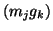 $ (m_j g_k)$