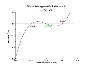 FHN model