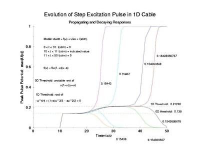 pulse evolution