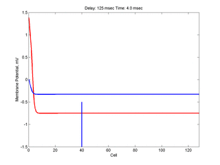 Conditioning wave and
vulnerability