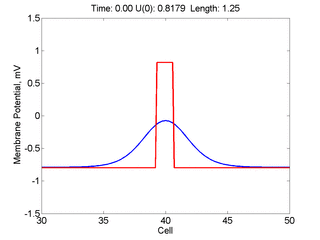 Narrow Pulse Excitation 