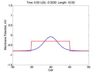 Wide Pulse Excitation 